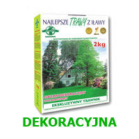 trawa dekoracyjna