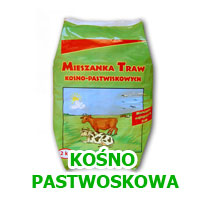 trawa kośno-pastwiskowa