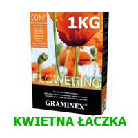 trawa z kwiatami wiejska łączka