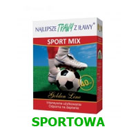 trawa sportowa