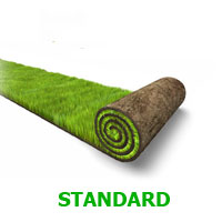 trawa z rolki STANDARD