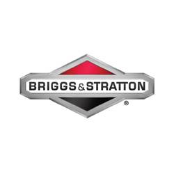 Briggs & Stratton