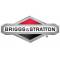 Briggs & Stratton